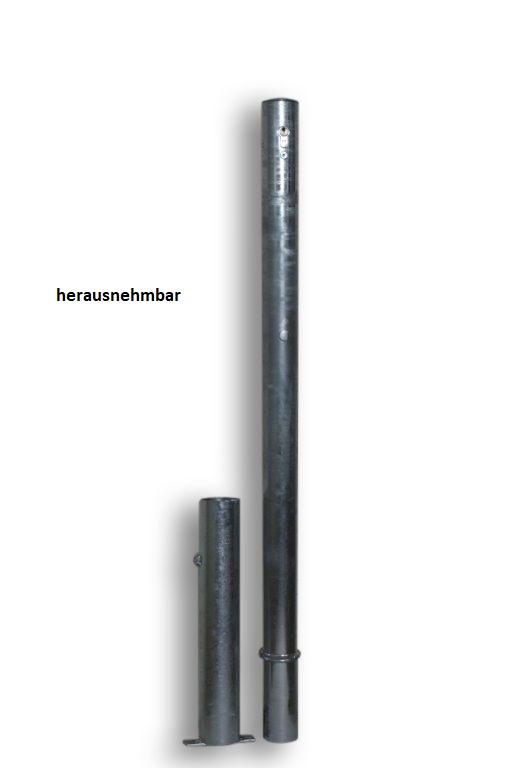 Sperrpfosten DMR. 60 mm, herausnehmbar