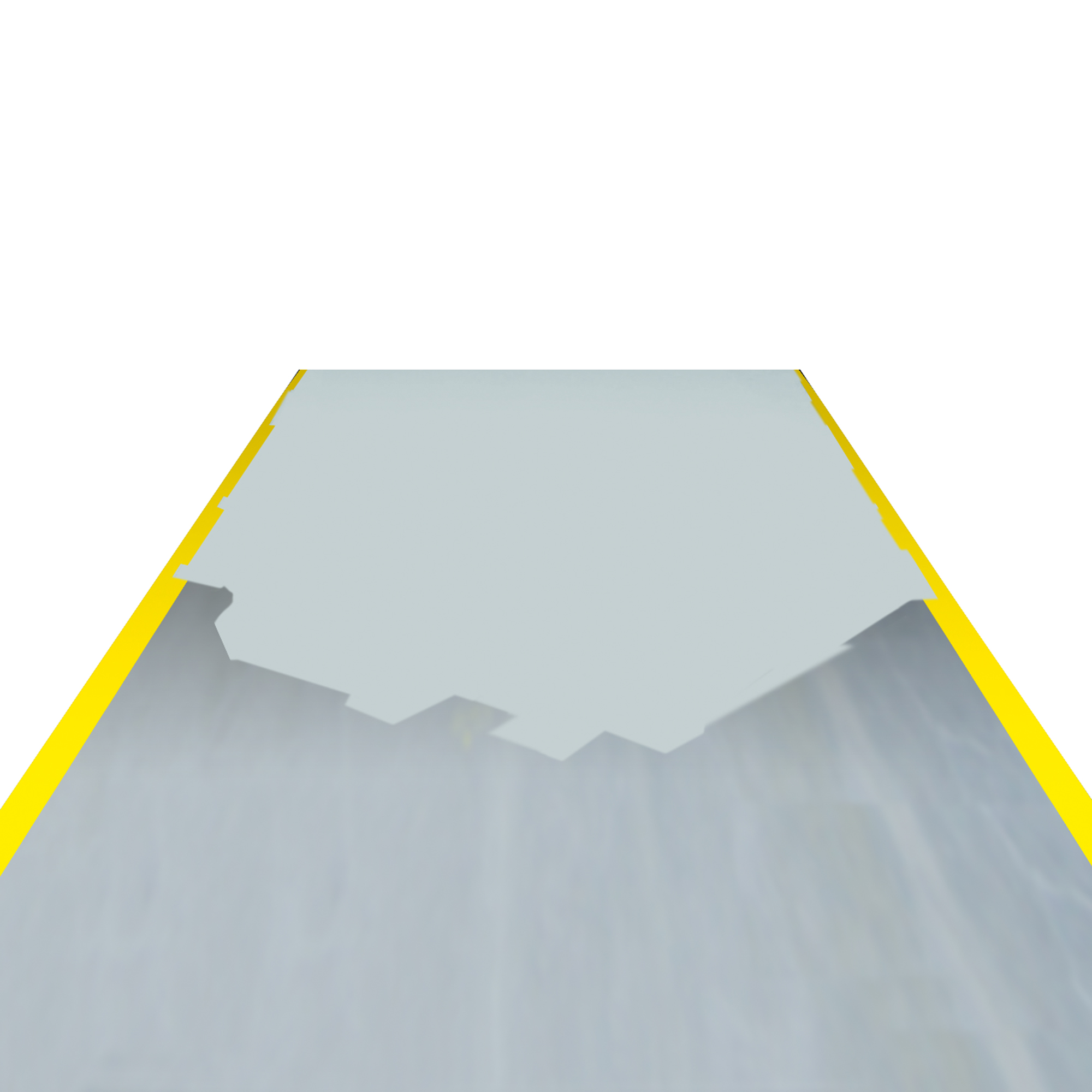 PROline-paint Hallenmarkierfarbe, 5 l-Gebinde